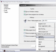 BlazingTools Perfect Keylogger Lite screenshot